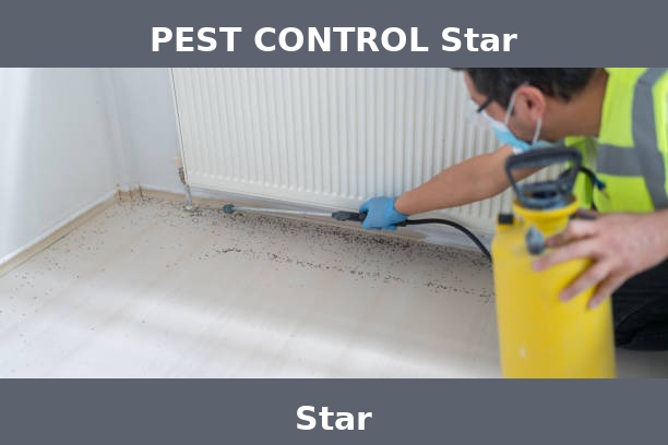 PEST CONTROL Star